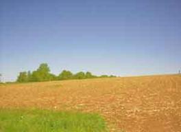 Pcl Dorn Rd., New Holstein, WI 53061