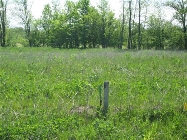 Lot 46 Green Meadows Subdivision, Sheboygan, WI 53083