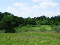 80 Acres Spring Valley Dr., Greenbush, WI 53023