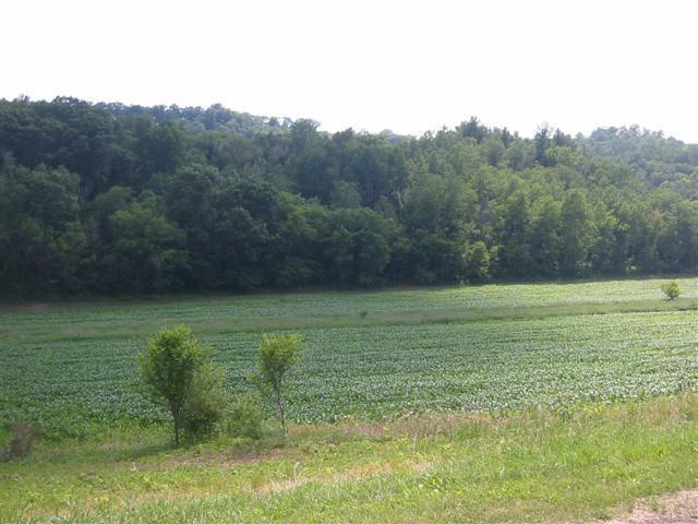 Olson Rd., Onalaska, WI 54650