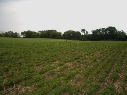 11810 Lax Chapel Rd., Schleswig, WI 53042