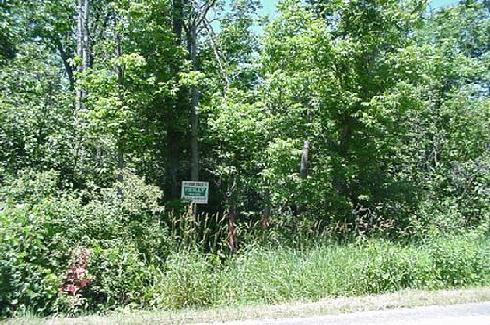 Outlot 1 Woodland Dr., Osceola, WI 53010