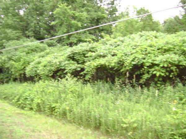 Lot 25 Forest Rd., Plymouth, WI 53073