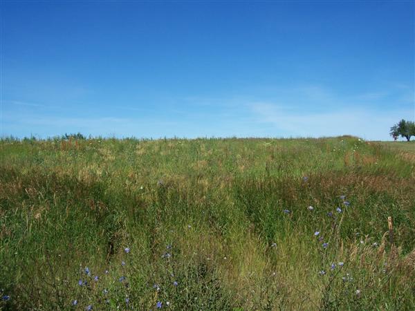 6.2 Acres Blueberry Ln., Plymouth, WI 53073