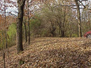 LT5 Its A Little Rd., East Troy, WI 53149