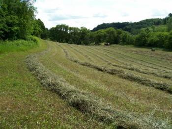 Valley Ave., Union, WI 54639