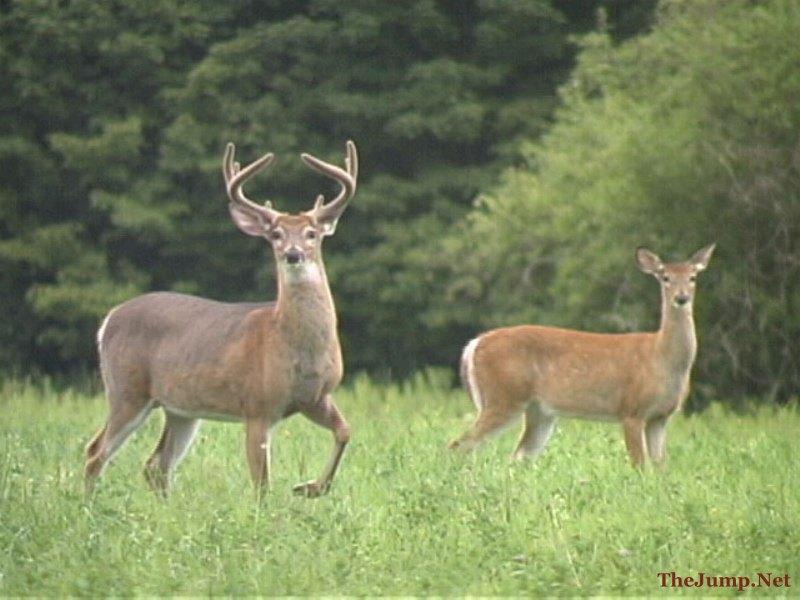 Lt5 Jay Rd., Belgium, WI 53004