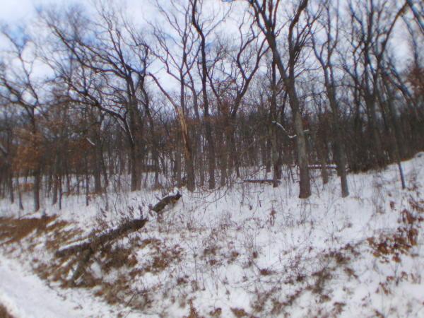 [Address Hidden by Seller], Caledonia, WI 54630