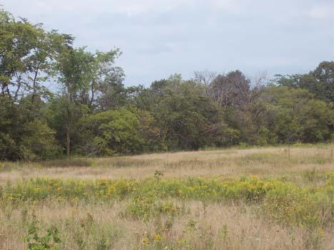 6.2 Acres Fox Run Settlement, Plymouth, WI 53073