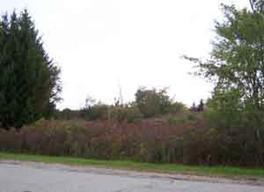 4221 W Parkland Ave., Brown Deer, WI 53209