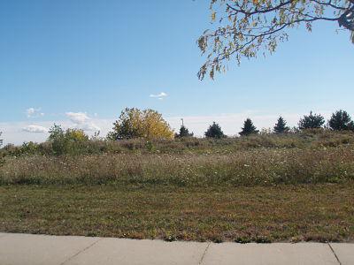 1153 Elly's Way, Slinger, WI 53086