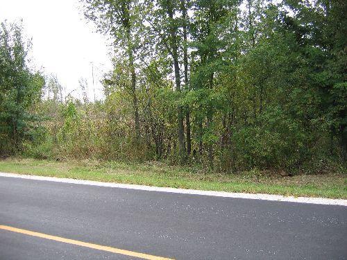 Lot 99 Boldt Rd., Valders, WI 54245