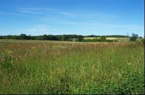 6.5 Acres Sumac Rd Lot 3, Plymouth, WI 53073