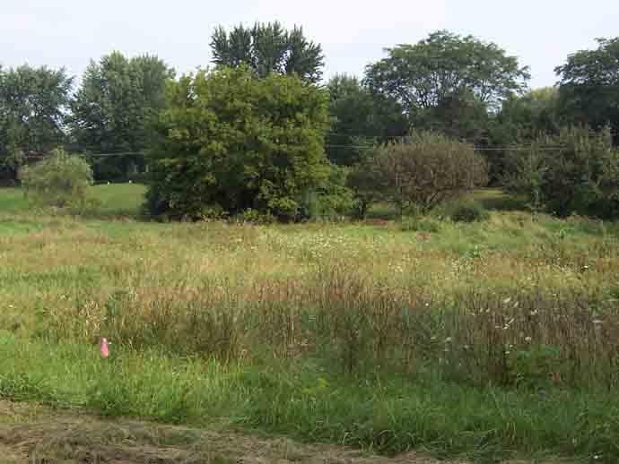 N51W27776 N Courtland Cir, Lisbon, WI 53072