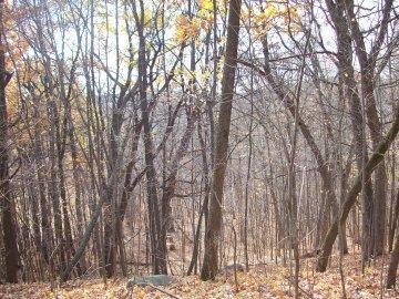 Lt1 Pleasant Hill Rd., Erin, WI 53027