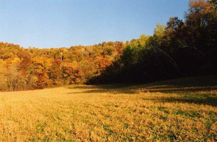 Doebbert Rd., Waumandee, WI 54622