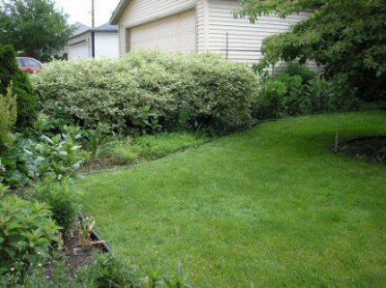 2362 N 61st St., Wauwatosa, WI 53213