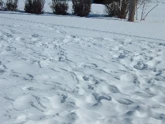 6030 Belmar Ave., Caledonia, WI 53402