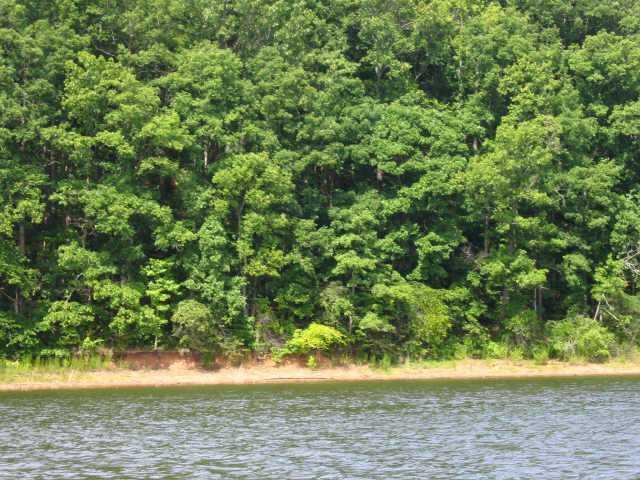 4649 Shoreline Ln., Gainesville, GA 30506