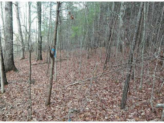 107 Sharp Mountain Creek, Ball Ground, GA 30107