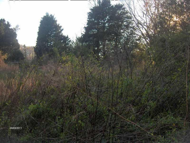 3194 Broome Rd., Gainesville, GA 30507