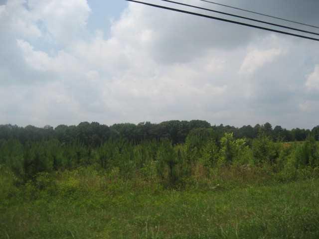 00 West Panola Rd., Ellenton, GA 30294