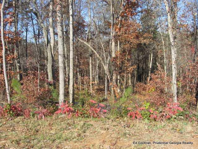4005 Fouts Dr., Cumming, GA 30028