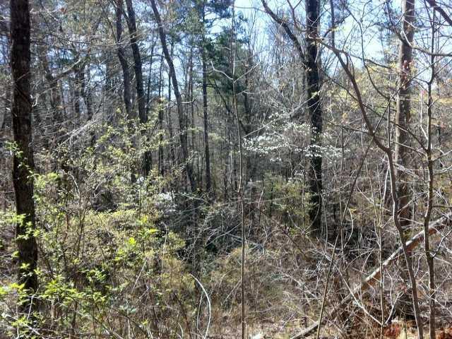 Pecks Mill Creek Rd., Dahlonega, GA 30533