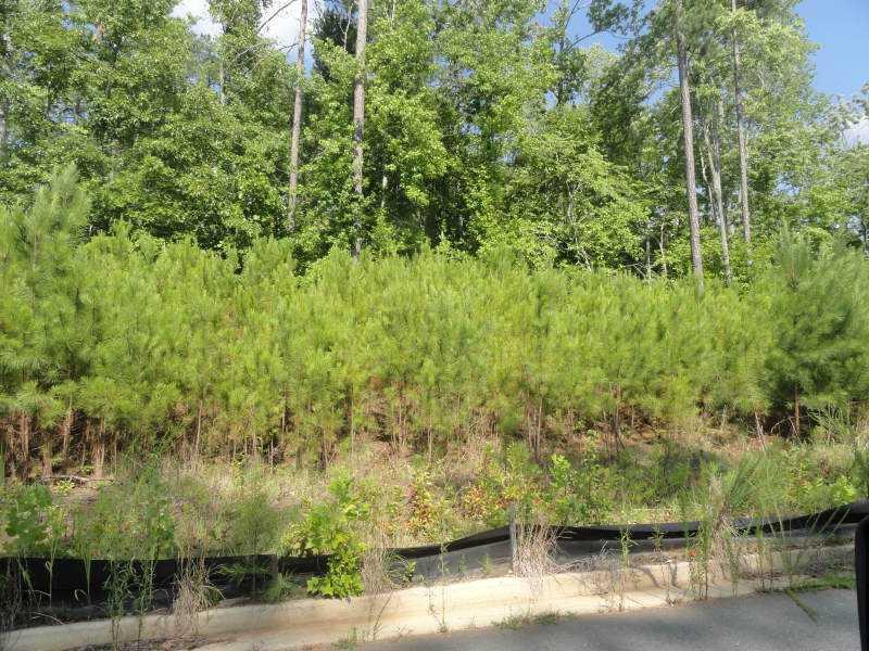 157 Catesby Rd., Powder Springs, GA 30127