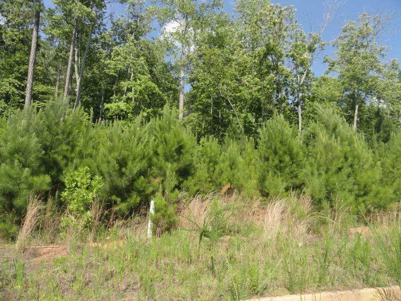 161 Catesby Rd., Powder Springs, GA 30127
