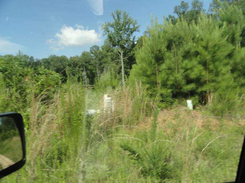 167 Catesby Rd., Powder Springs, GA 30127