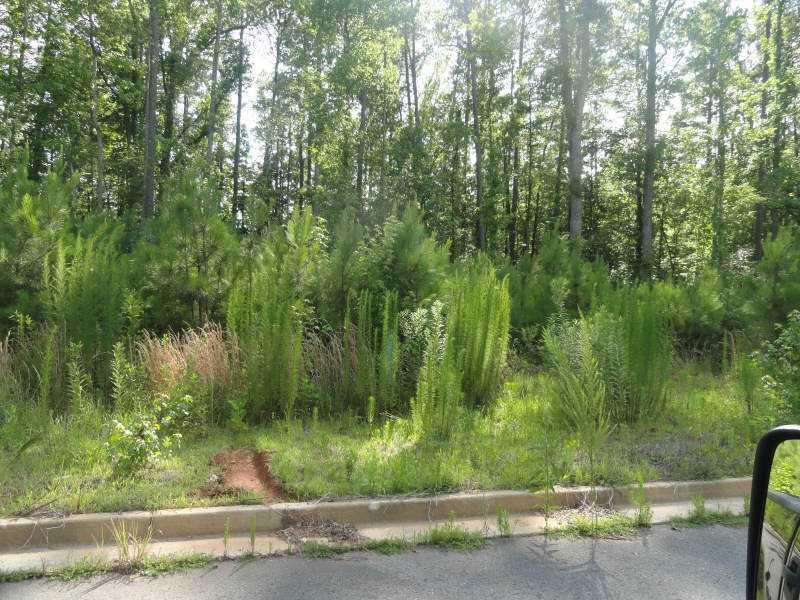 178 Catesby Rd., Powder Springs, GA 30127