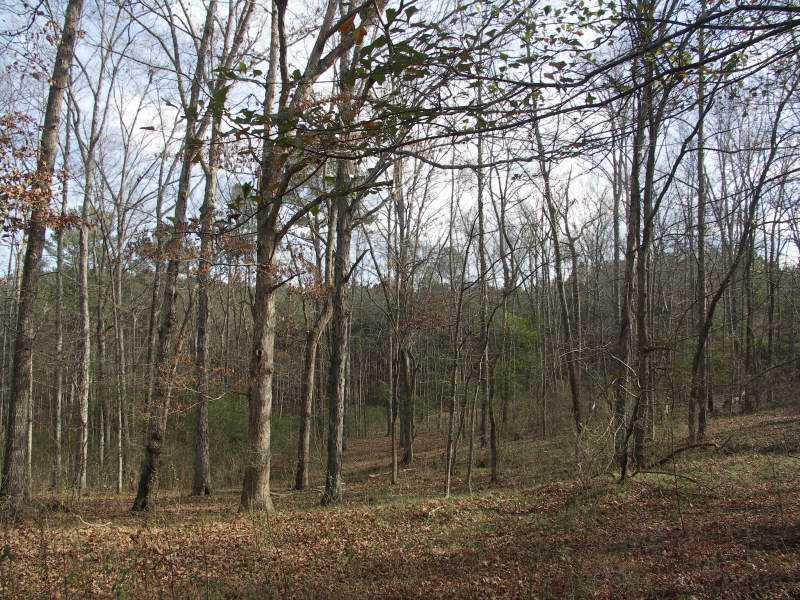 4955 Old Stilesboro Rd., Acworth, GA 30101