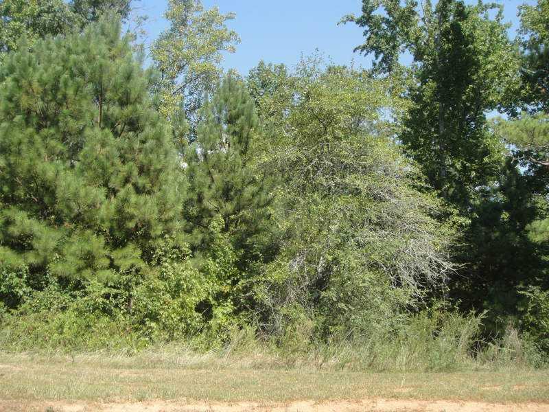 [Address Hidden by Seller], Alpharetta, GA 30004