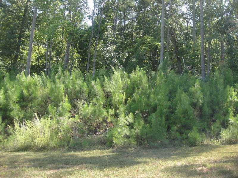 [Address Hidden by Seller], Alpharetta, GA 30004