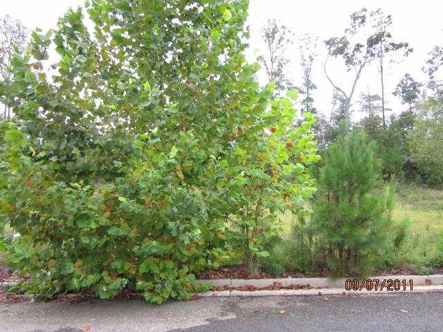 1184 Erica Way, Atlanta, GA 30354