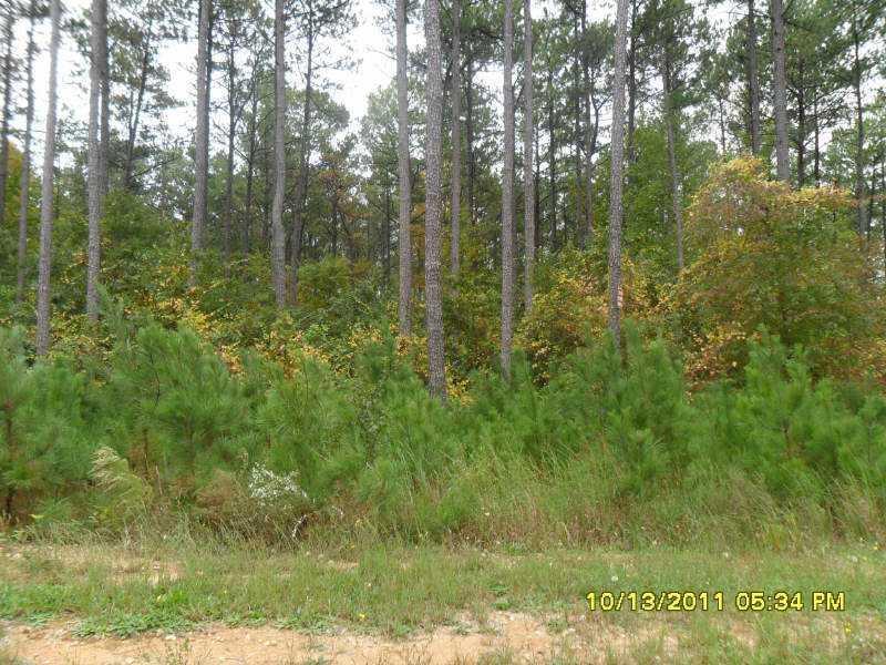 164 Henderson Ridge Dr., Dallas, GA 30157