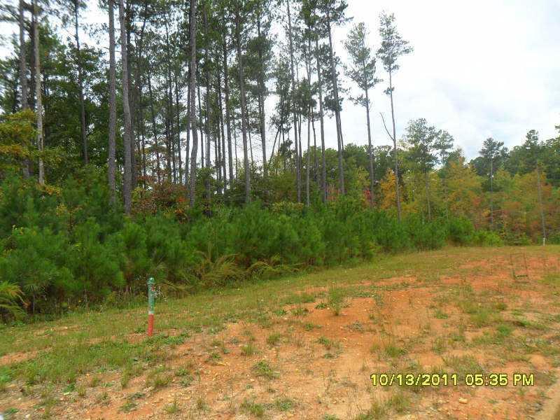 142 Henderson Ridge Dr., Dallas, GA 30157