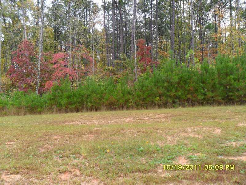 Lot 56 Henderson Ridge Dr., Dallas, GA 30157