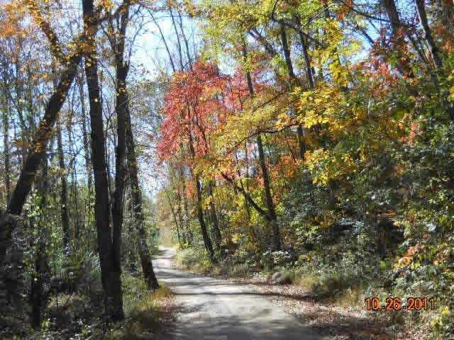 Cosens Ln., Dahlonega, GA 30533