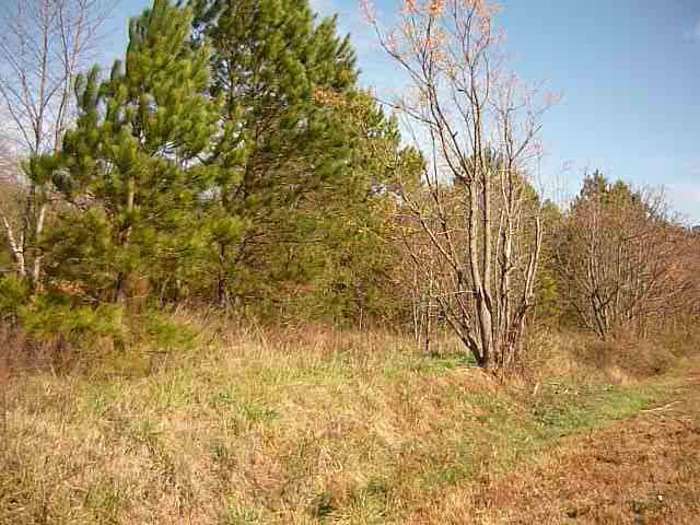 tbd Pleasant Valley Rd., Monroe, GA 30655