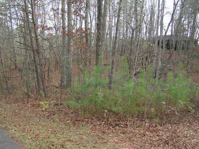 00 Dogwood Dr., Ball Ground, GA 30107