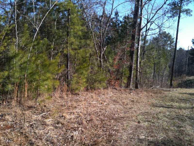 Cowart Mountain Tr., Waleska, GA 30183