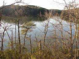 3365 Hall Dr., Gainesville, GA 30501