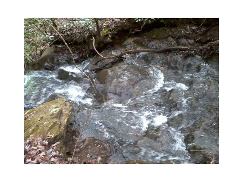 Porter Springs, Dahlonega, GA 30533