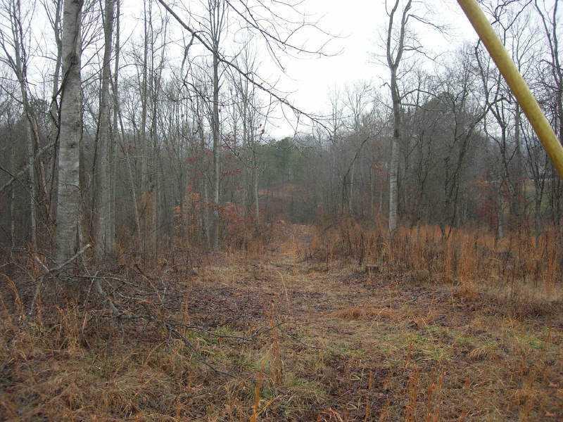 Flatbottom Rd., Ball Ground, GA 30107