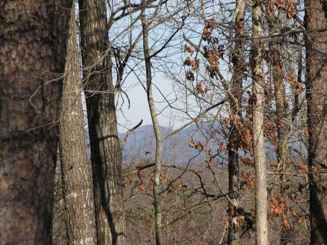 Mt Zion Church Rd., Dahlonega, GA 30533