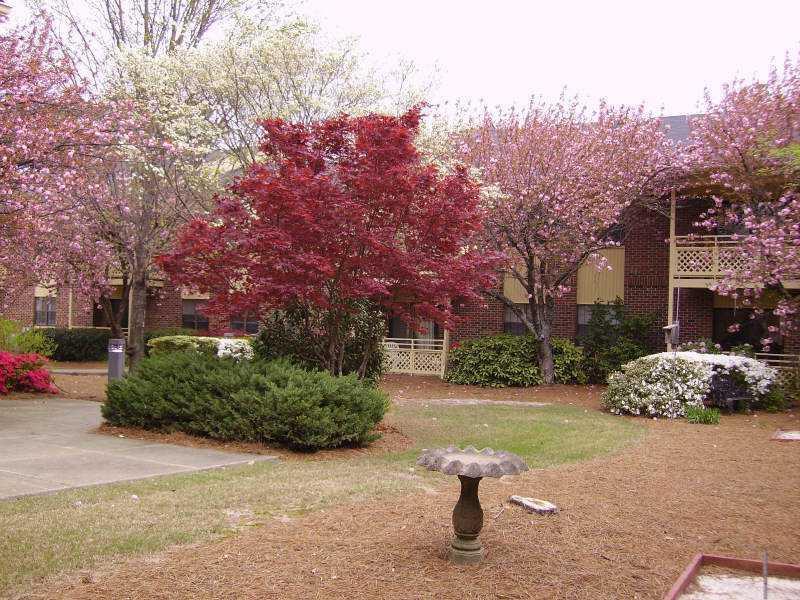 475 Mount Vernon Hwy. #C225, Sandy Springs, GA 30328