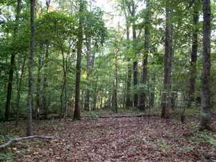 7920 Hurricane Falls, Douglasville, GA 30135