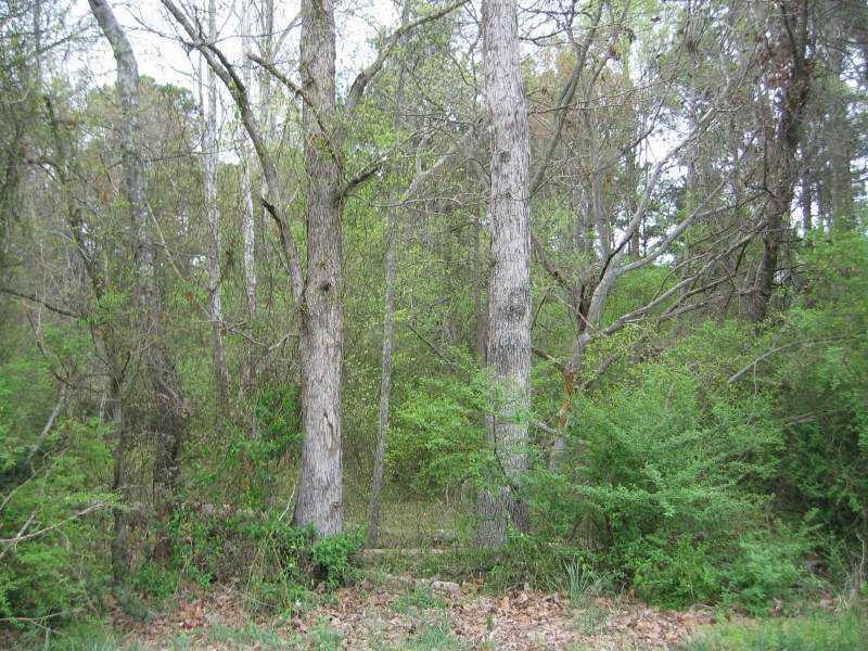 S Puckett Rd., Buford, GA 30519